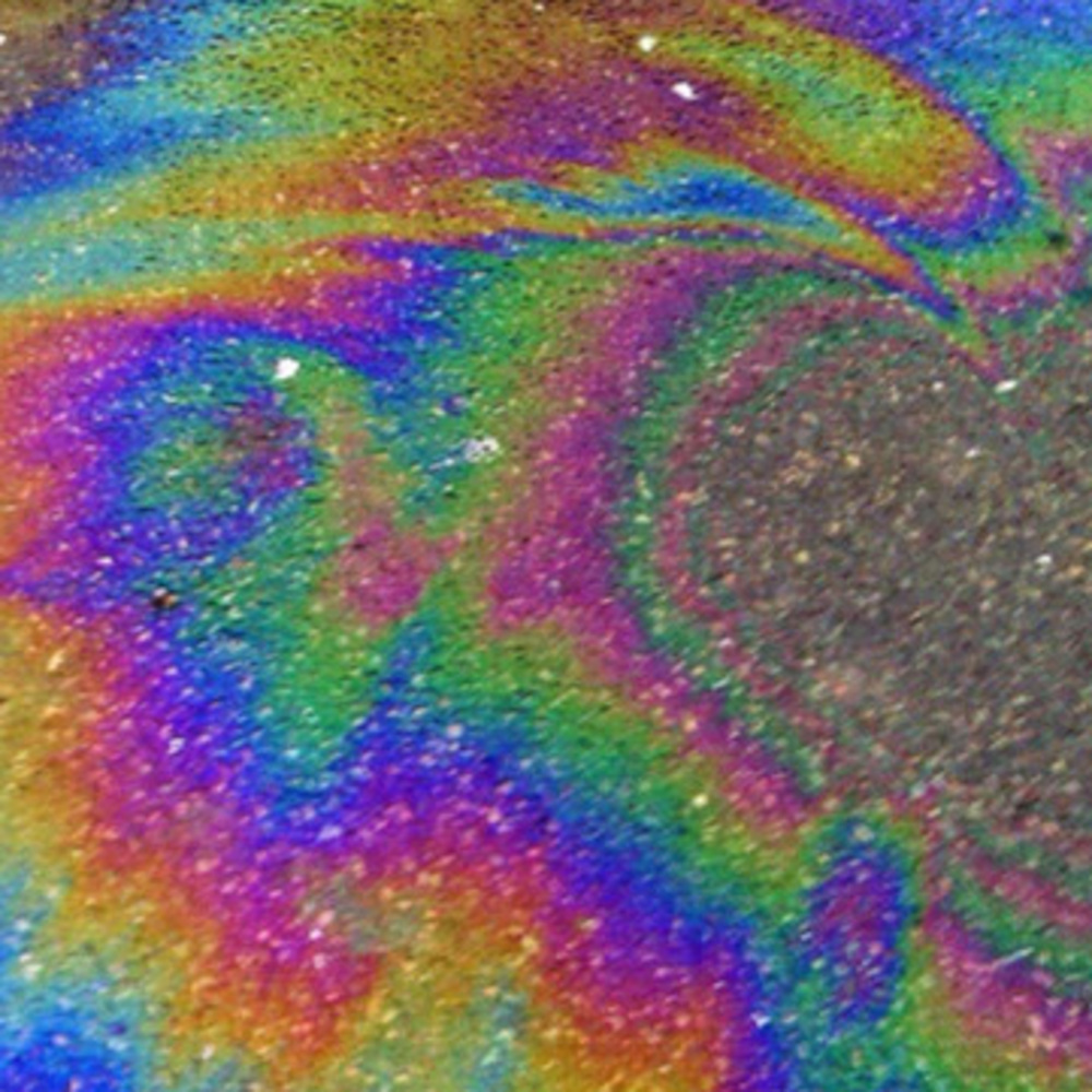 Meet your Posher, Dan